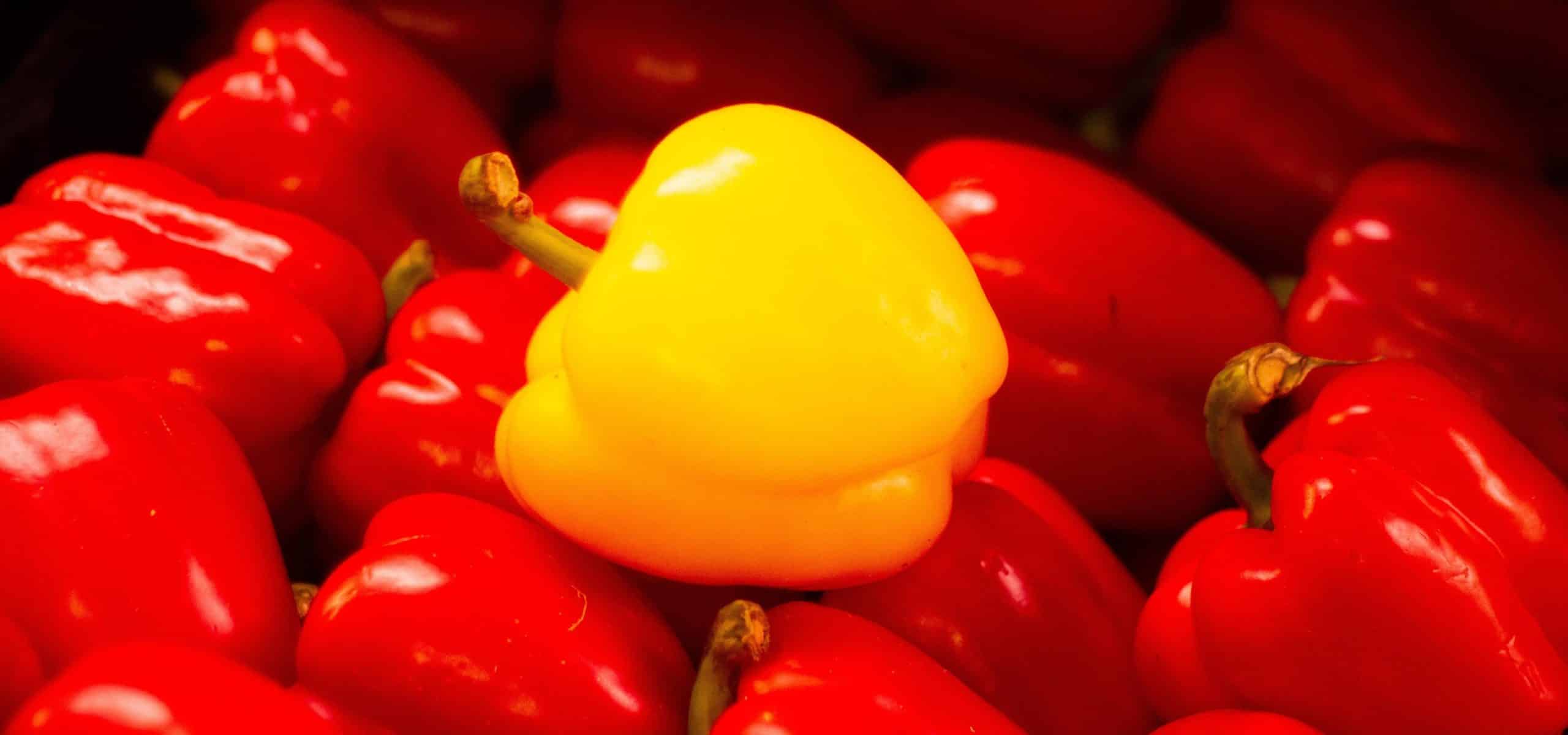 Wie Ihre Marke den Unterschied macht